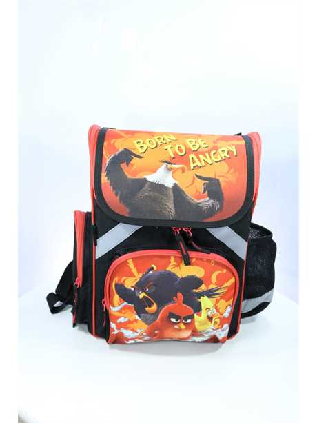 фото 234-50 1-113F Рюкзак школьный  Разноцветный