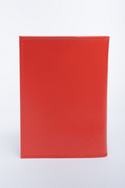 фото 391-64 ВП 125 Обложка для документов DE-GOSA красный