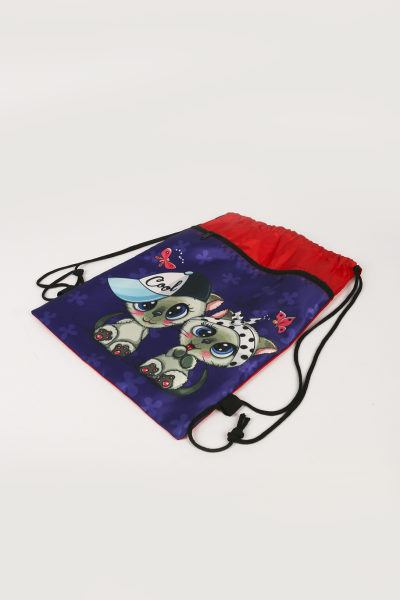 фото 383-32  Мешок для обуви Другие бренды В Ассортименте