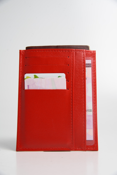 фото 289-77  П 118 Обложка для документов DE-GOSA Красный