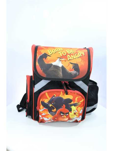 фото 234-50 1-113F Рюкзак школьный  Разноцветный